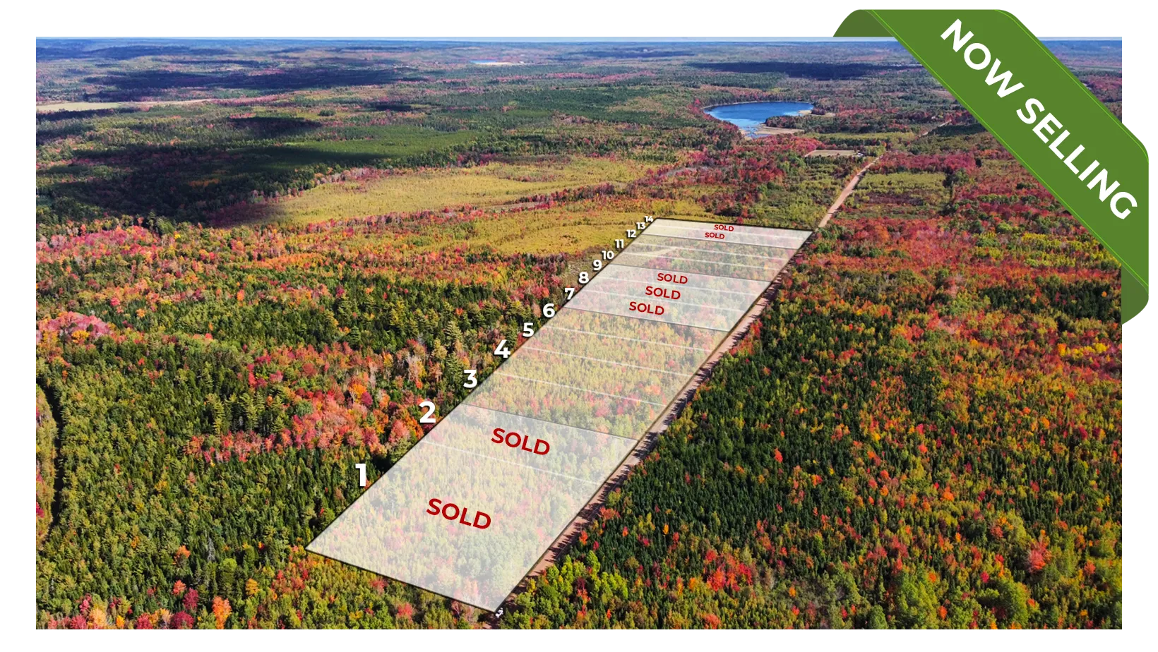 A view of the estate from above