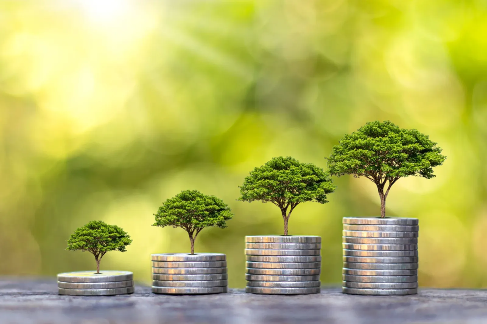 Land Through the Lens of Times – Why Uncertain Times Call for Long-Term Thinking